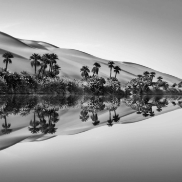 AQUA MATER by Sebastião Salgado comes to Madrid: the beauty, strength and fragility of water in a unique exhibition at Fundación Canal
